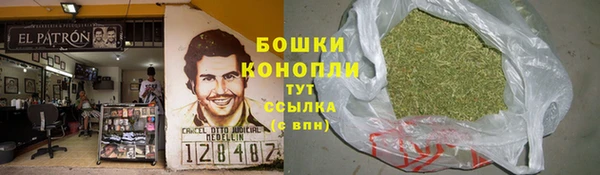 прущий лед Вязьма