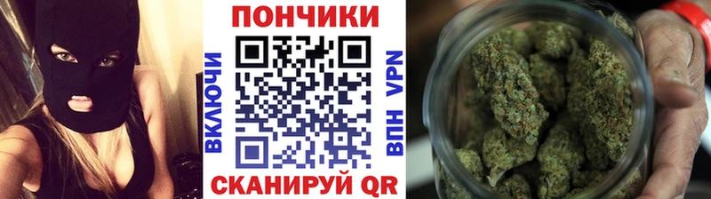 хочу наркоту  Жердевка  мега сайт  Шишки марихуана семена 